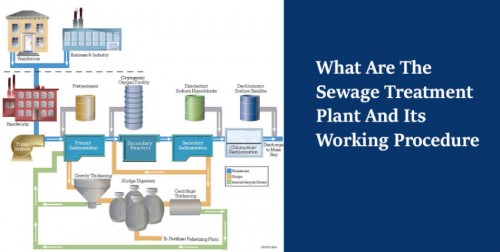 Are you looking for Sewage Treatment Plant and new to this product then, this post will definitely help you with its nature and working procedure in detail.

source Url: https://clear-ion.com/blog/what-are-the-sewage-treatment-plant-and-its-working-procedure/